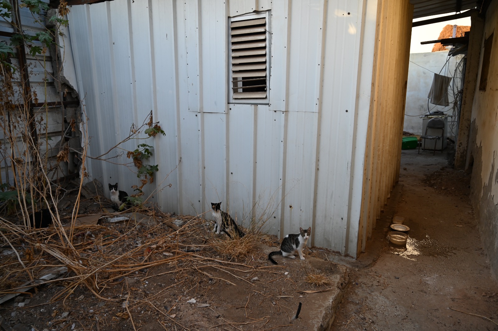 WhatsApp Image 2021-10-11 at 6.24.03 PM (1).jpeg